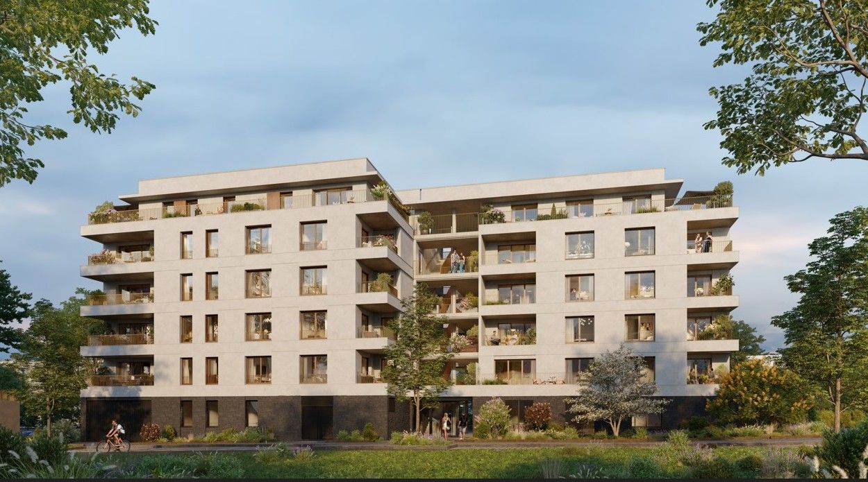 San Mateo